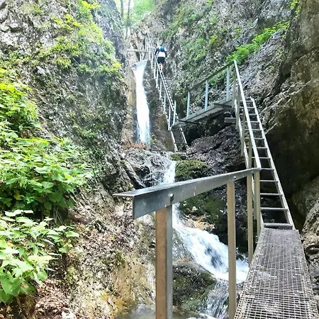 Garden 펜션 Belá